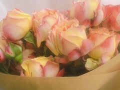 -茶马花街(城西银泰城店)