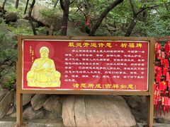 -石岛赤山风景区