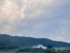 -风云岭森林公园