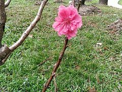 -桃花涧