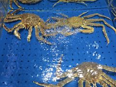 -炊江南·上海菜(国展华漕店)