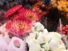 -双季花艺园艺市场(浦东店)