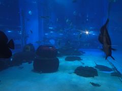 -顺德南宏海立方海洋公园