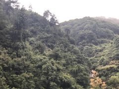 -九龙谷漂流