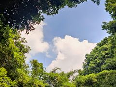 -成都市活水公园