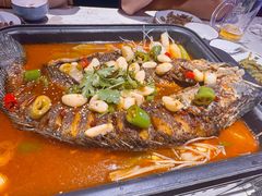 -沈胖子音乐烤吧·炒菜·龙虾(环城东路店)