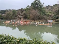 -宁波野生动物园