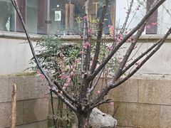 -汇龙潭