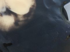 -鞠氏黑芝麻糊(水塔店)