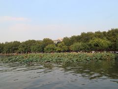 -西湖天地