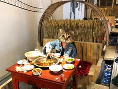 -黄家码头老火锅(解放碑旗舰店)