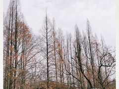 -T80科技文化国际社区-停车场