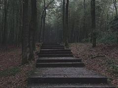 -西湖风景区十里琅珰-五云山