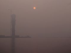 -吴淞炮台湾湿地森林公园烧烤区