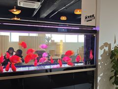 -上海和展广汽丰田4S店(老闵行店)
