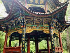 -蝴蝶泉公园