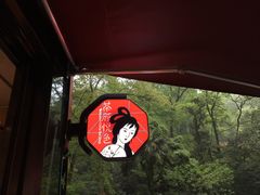 -茶颜悦色(岳麓山顶店)