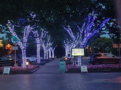 -太阳岛度假酒店