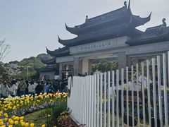 -苏州上方山国家森林公园