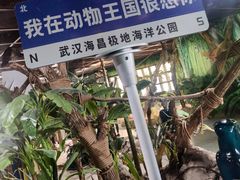 -海合安武汉极地海洋公园