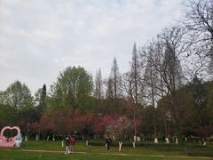-花溪公园