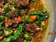 -龙泉小镇(科圣路店)