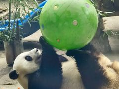 -石家庄市动物园