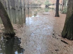 -波尔登森林公园