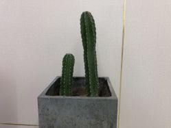 -时尚工厂·科学染发