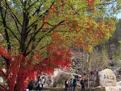 -本溪老边沟风景区