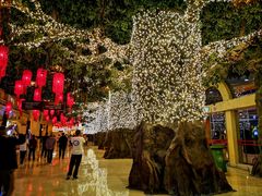 -云顶高原