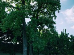 -苏州碑刻博物馆
