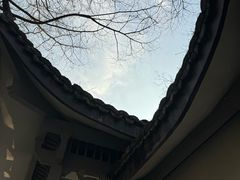 -杭州植物园