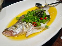 青花椒蒸白水鱼-荣兴酒家(徐家汇店)