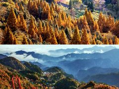 -武当山风景区