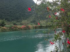 -靖西鹅泉风景区