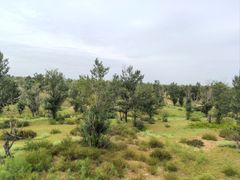 -银肯塔拉沙漠生态旅游景区