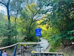 -白水寺森林公园