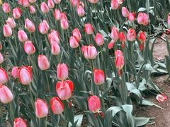 -长春公园(普阳街道)