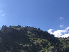 -芦芽山旅游度假区