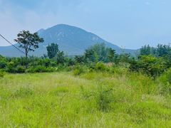 -禅宗少林·音乐大典