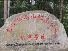 -朱雀国家森林公园