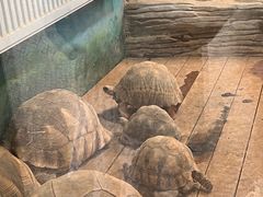 -宁波野生动物园