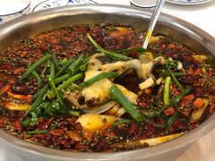 -乡土特色.冷锅鱼.牦牛肉汤锅