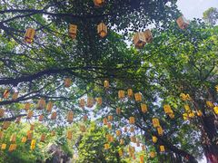 -白云山索道-售票处