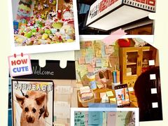 -溪岸路花鸟市场