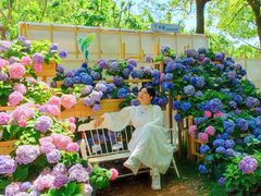 -上海鲜花港