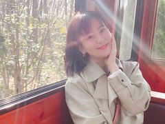 -合肥滨湖国家森林公园