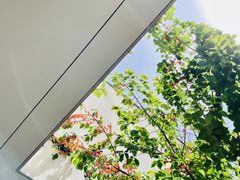 -良渚博物院