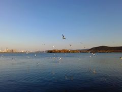 -云龙湖旅游景区